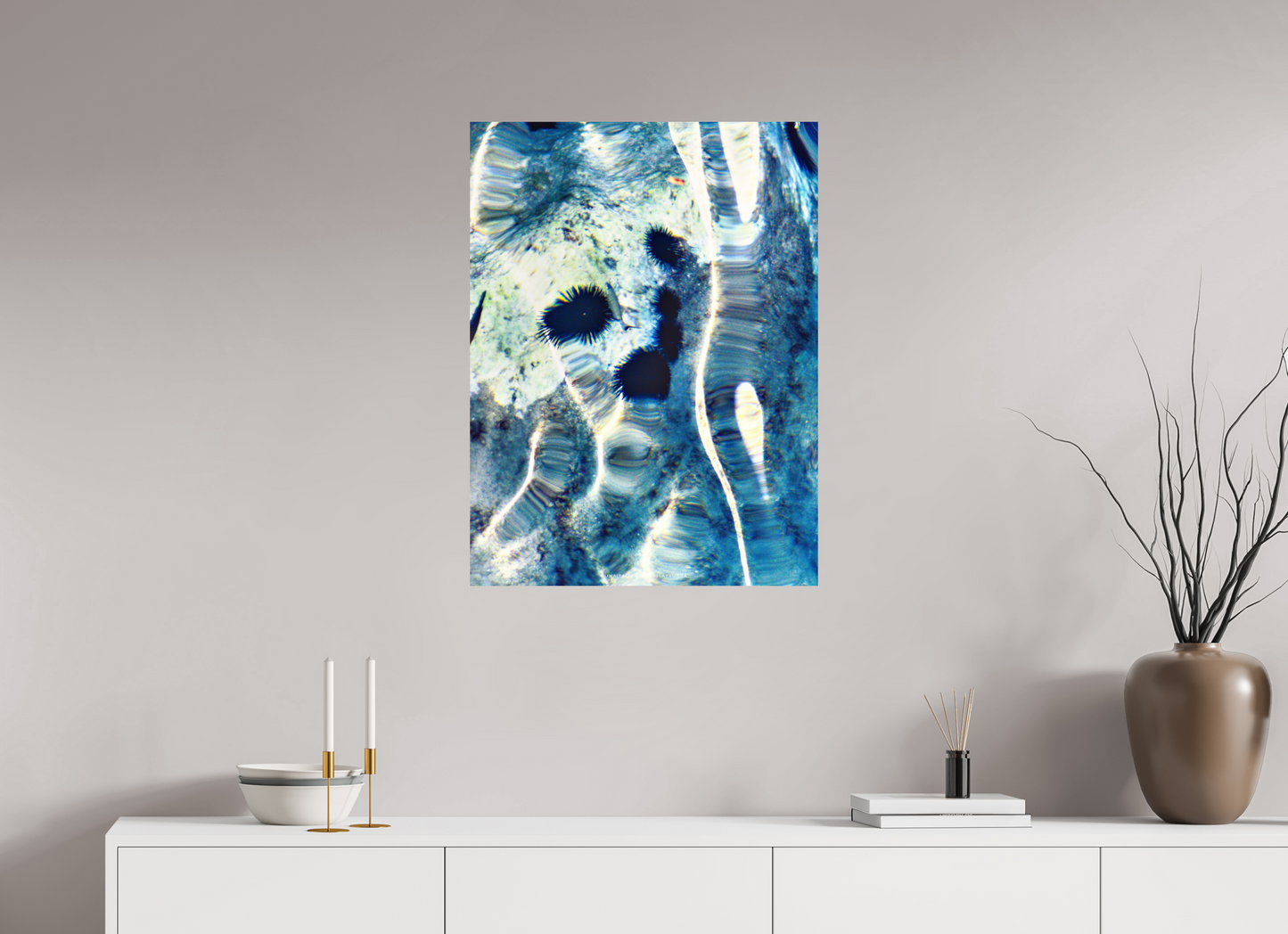 60 x 80 cm, Photo Print On Fuji Crystal DP II Oursins n.1